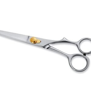 Professional Hair Cutting Scissors Model 607 – Pak Line Industries