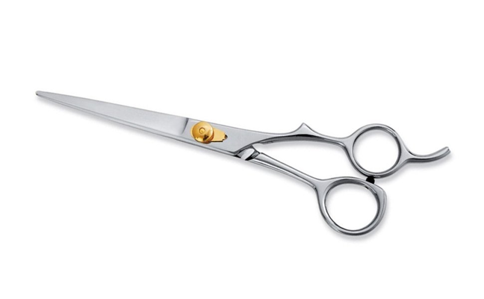 Professional Hair Cutting Scissors Model 607 – Pak Line Industries