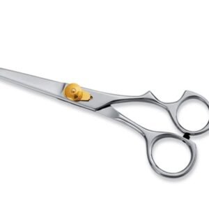 Professional Hair Cutting Scissors Model 605 – Pak Line Industries