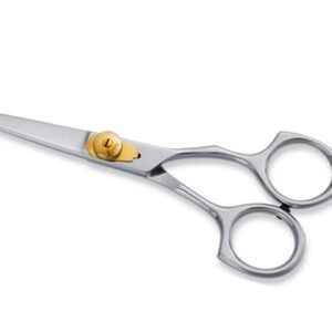 Professional Hair Cutting Scissors Model 604 – Pak Line Industries