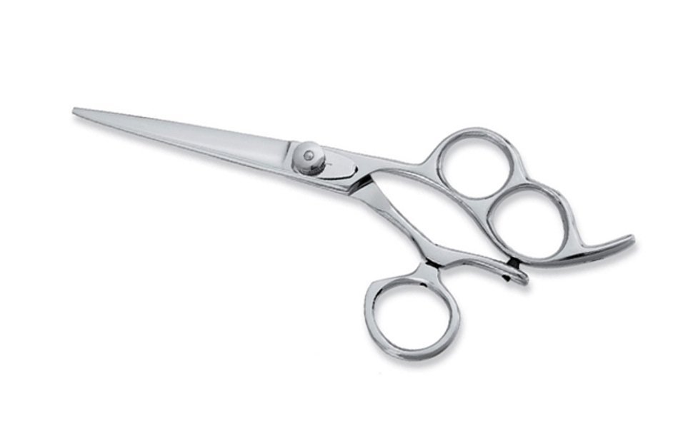 Professional Hair Cutting Scissors 6"