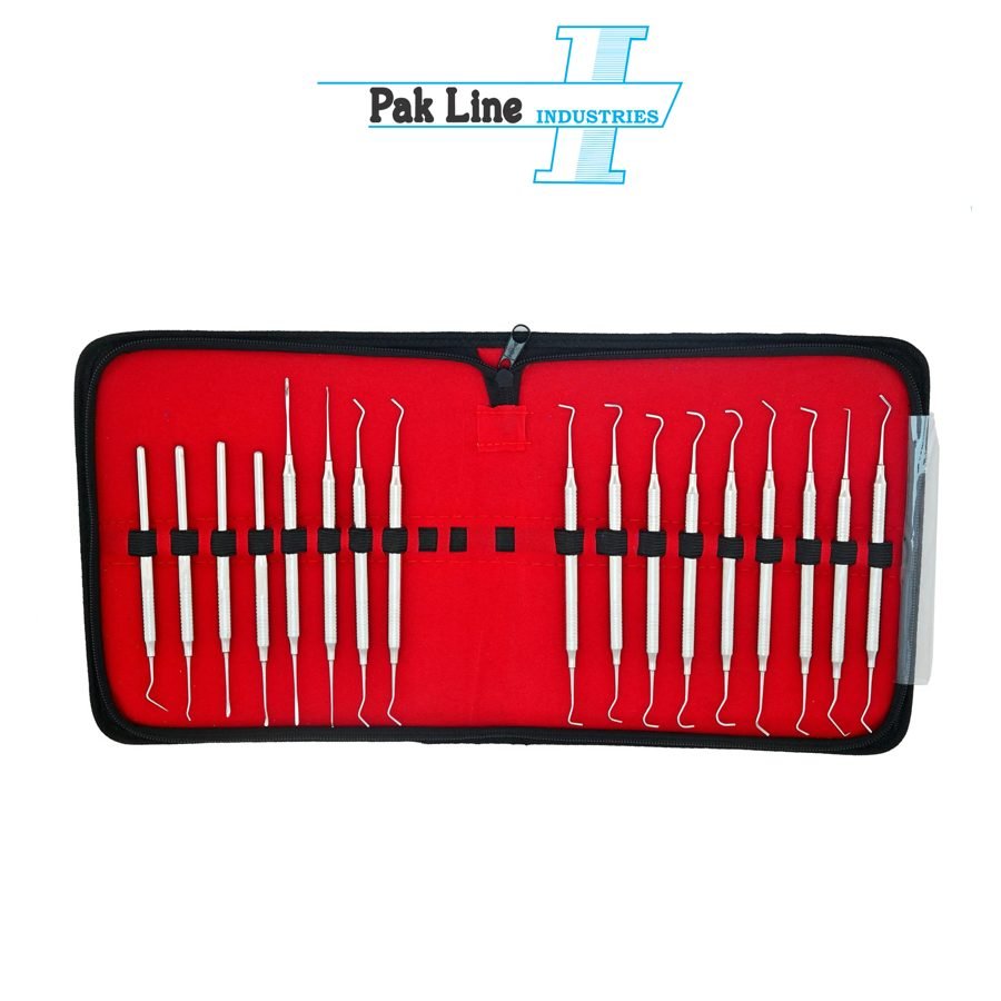 Periodontal & Gold Foil Instrument Kit, 17 pcs (PL-DP-4320) — German-grade stainless steel AISI 440A, manufactured by Pak Line Industries, Sialkot